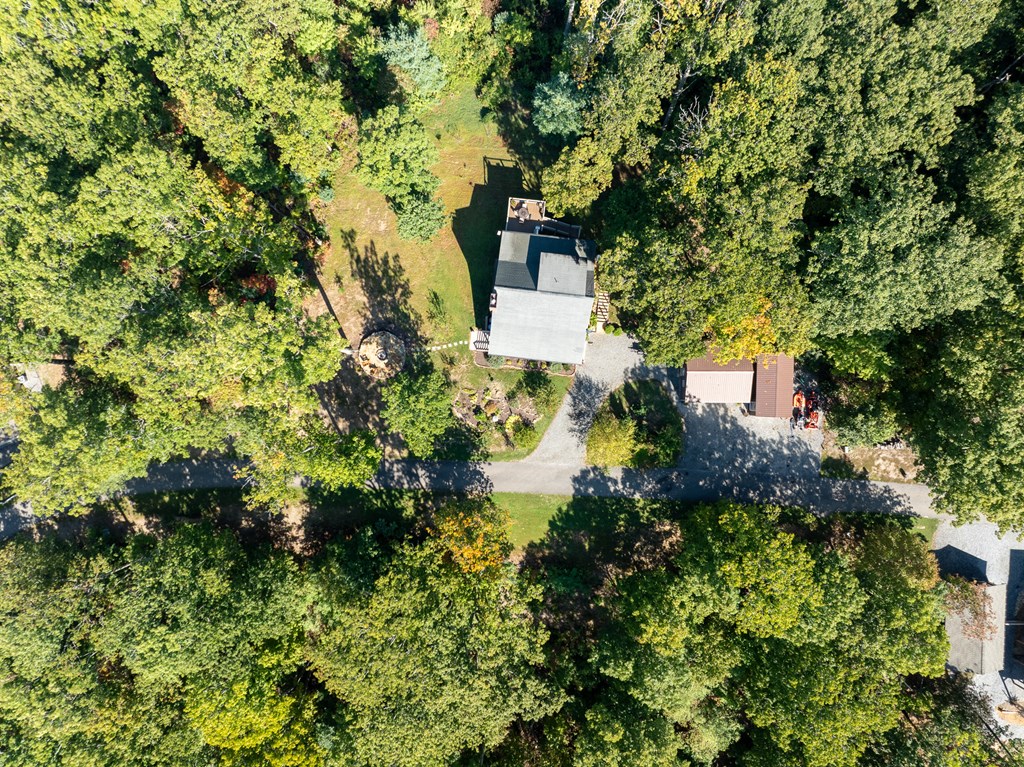 359 Caldwell Overlook, BRASSTOWN, North Carolina image 45