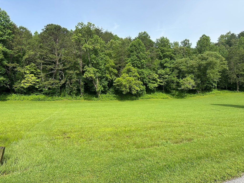 Lot 45 Prosperity Dr #45, WARNE, North Carolina image 6