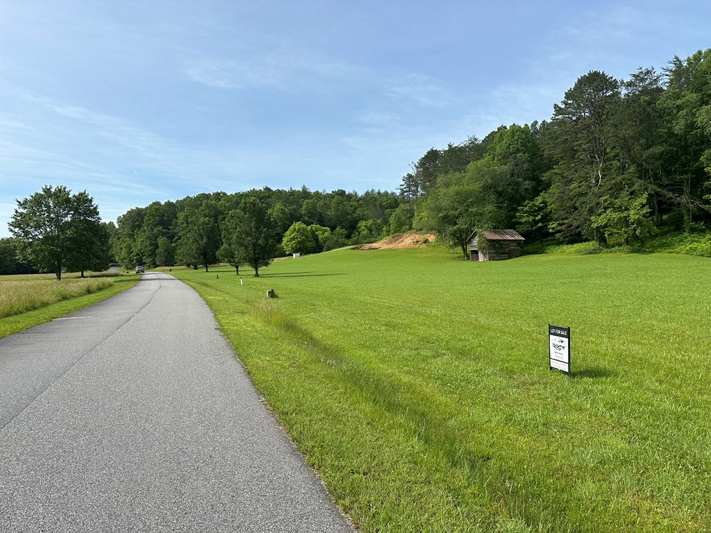 Lot 45 Prosperity Dr #45, WARNE, North Carolina image 4