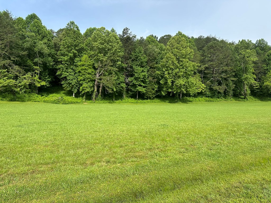 Lot 45 Prosperity Dr #45, WARNE, North Carolina image 3