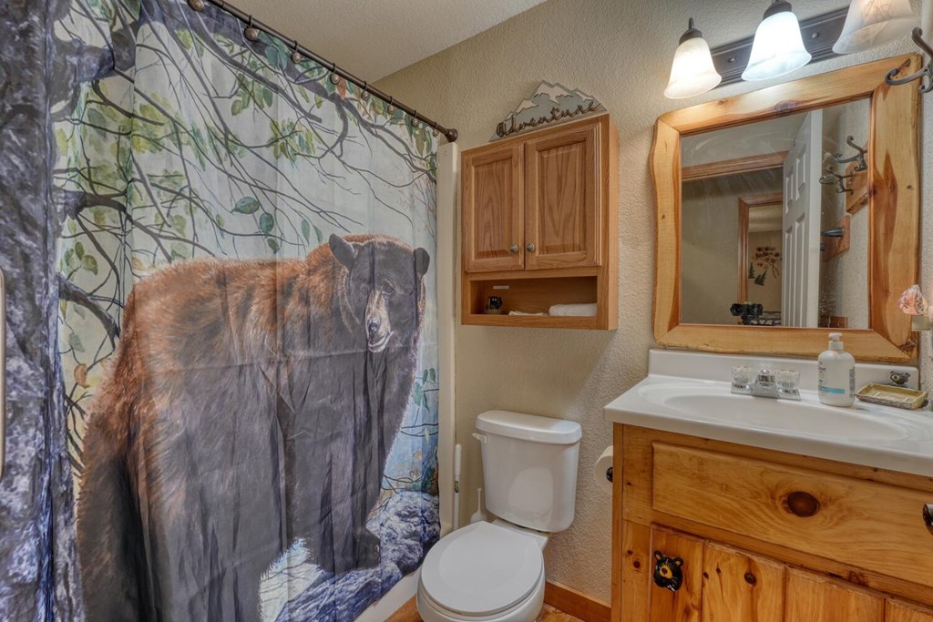 422 Damons Trail, MURPHY, North Carolina image 21