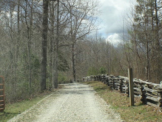 Lot  #8 Deweese Road #8, TOPTON, North Carolina image 6