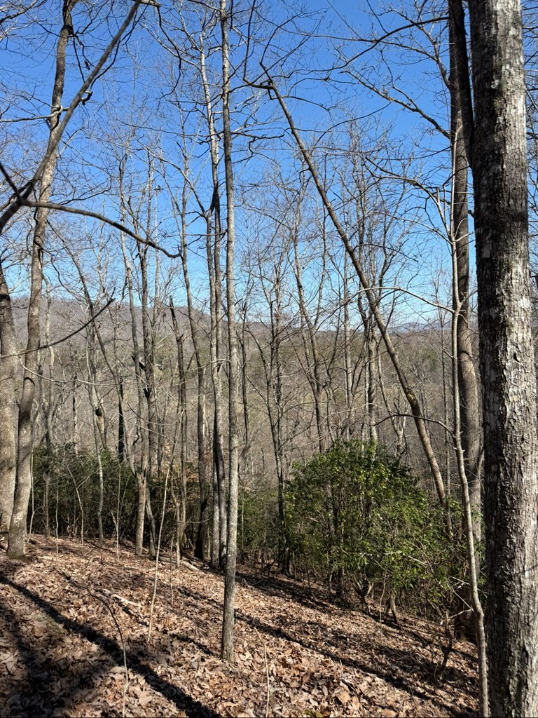 TBD Royal Oaks Trail, BRASSTOWN, North Carolina image 10
