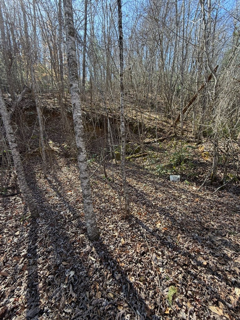 TBD Royal Oaks Trail, BRASSTOWN, North Carolina image 6