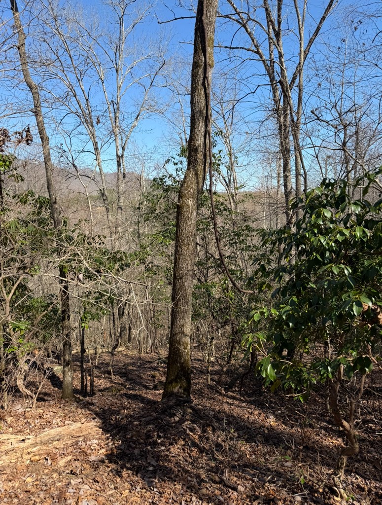 TBD Royal Oaks Trail, BRASSTOWN, North Carolina image 8