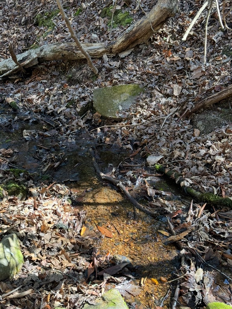 TBD Royal Oaks Trail, BRASSTOWN, North Carolina image 9