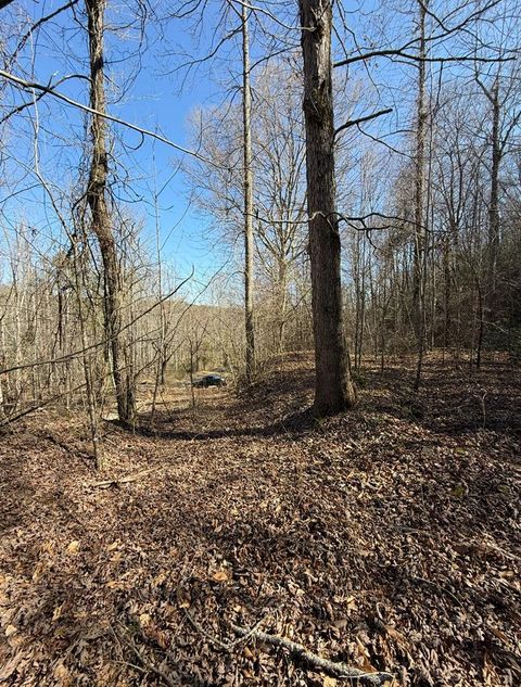 Vacant Land For Sale - TBD Royal Oaks Trail<br/> BRASSTOWN, NC 28902