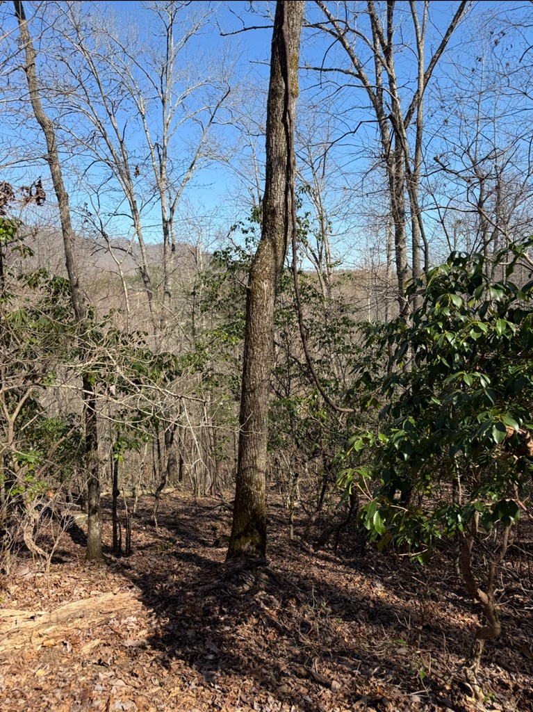 TBD Royal Oaks Trail, BRASSTOWN, North Carolina image 5