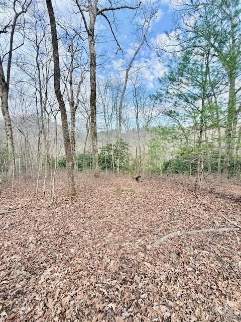 Vacant Land For Sale - 00 Pleasant View #9<br/> ROBBINSVILLE, NC 28771