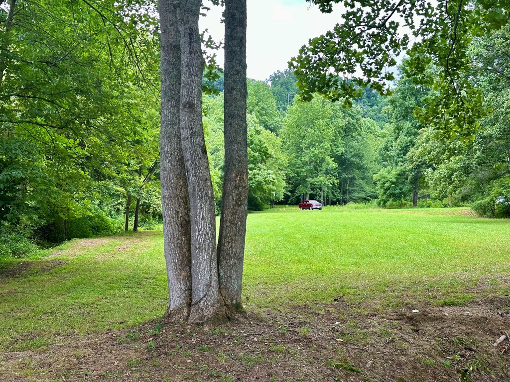 Lot 65C Mountain Harbour #65C, HAYESVILLE, North Carolina image 9