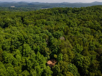 191 Barker Lane, MORGANTON, Georgia image 31