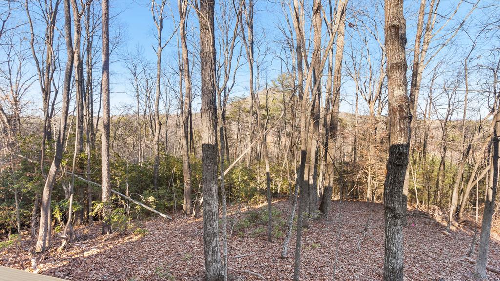 88 Rhys Wood Road, MURPHY, North Carolina image 32