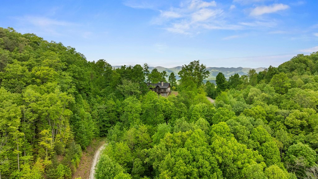 57 Eagles Nest Trail, MURPHY, North Carolina image 21