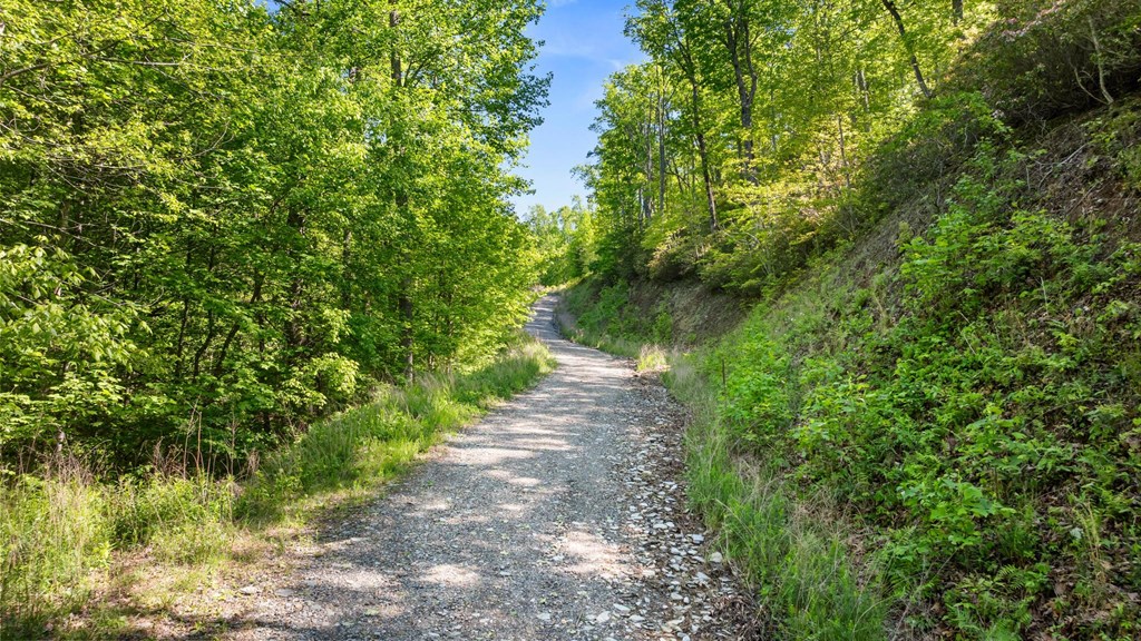57 Eagles Nest Trail, MURPHY, North Carolina image 4