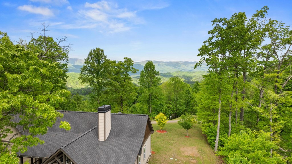 57 Eagles Nest Trail, MURPHY, North Carolina image 14
