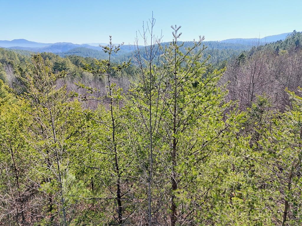 125 Milk & Honey Dr, MURPHY, North Carolina image 15