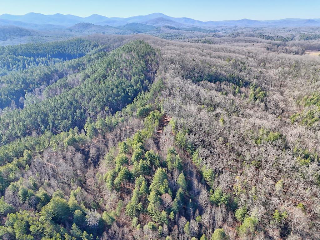125 Milk & Honey Dr, MURPHY, North Carolina image 2