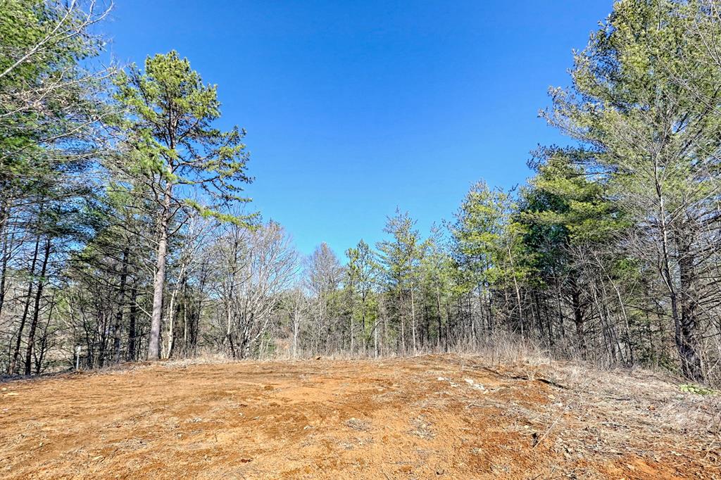 125 Milk & Honey Dr, MURPHY, North Carolina image 6