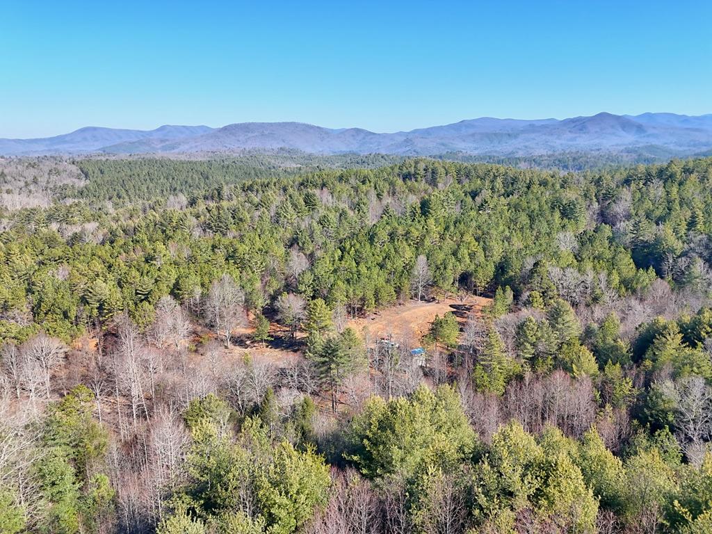 125 Milk & Honey Dr, MURPHY, North Carolina image 4