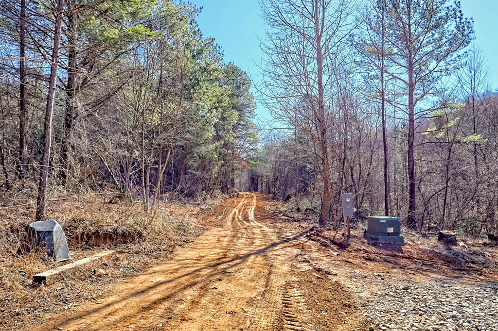 125 Milk & Honey Dr, MURPHY, North Carolina image 19