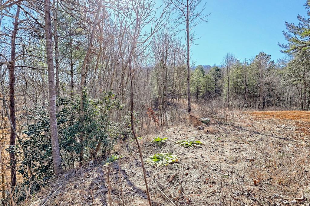 125 Milk & Honey Dr, MURPHY, North Carolina image 5