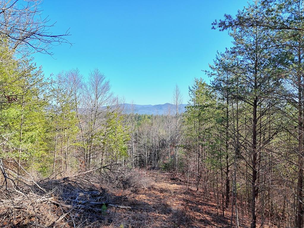 125 Milk & Honey Dr, MURPHY, North Carolina image 16