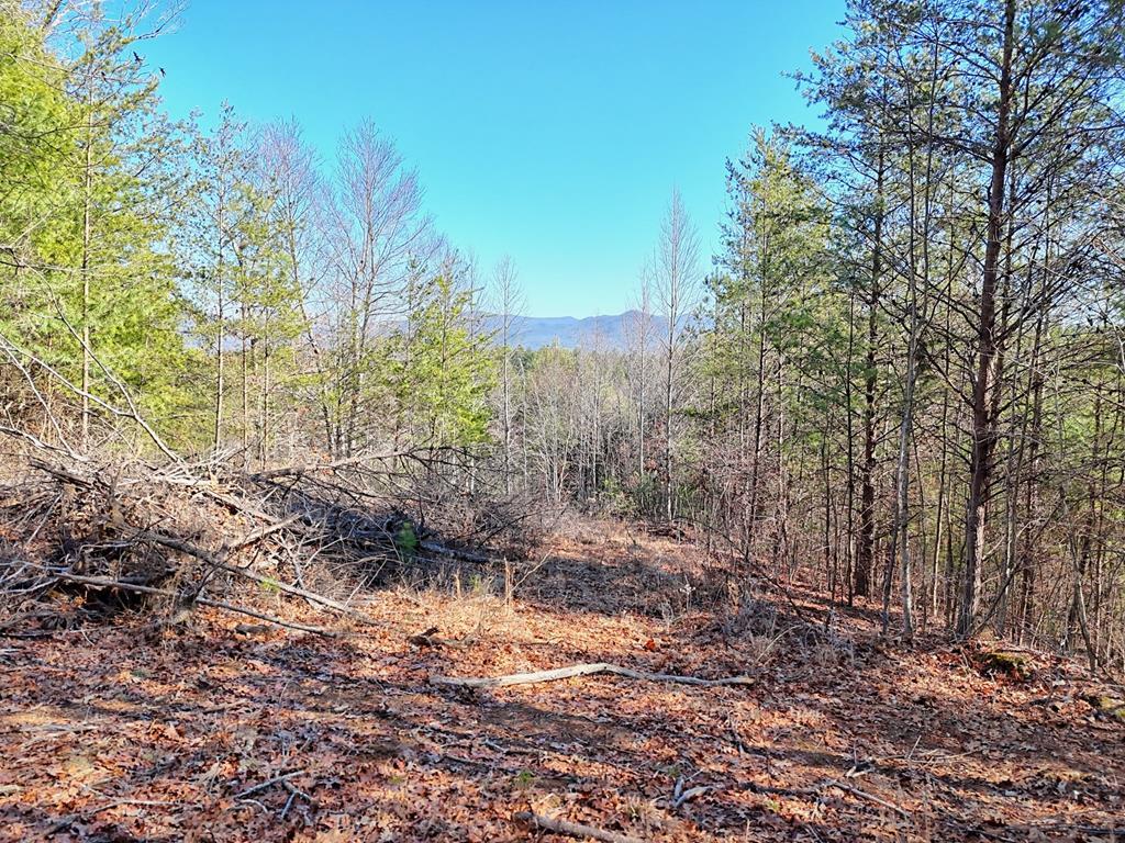 125 Milk & Honey Dr, MURPHY, North Carolina image 1