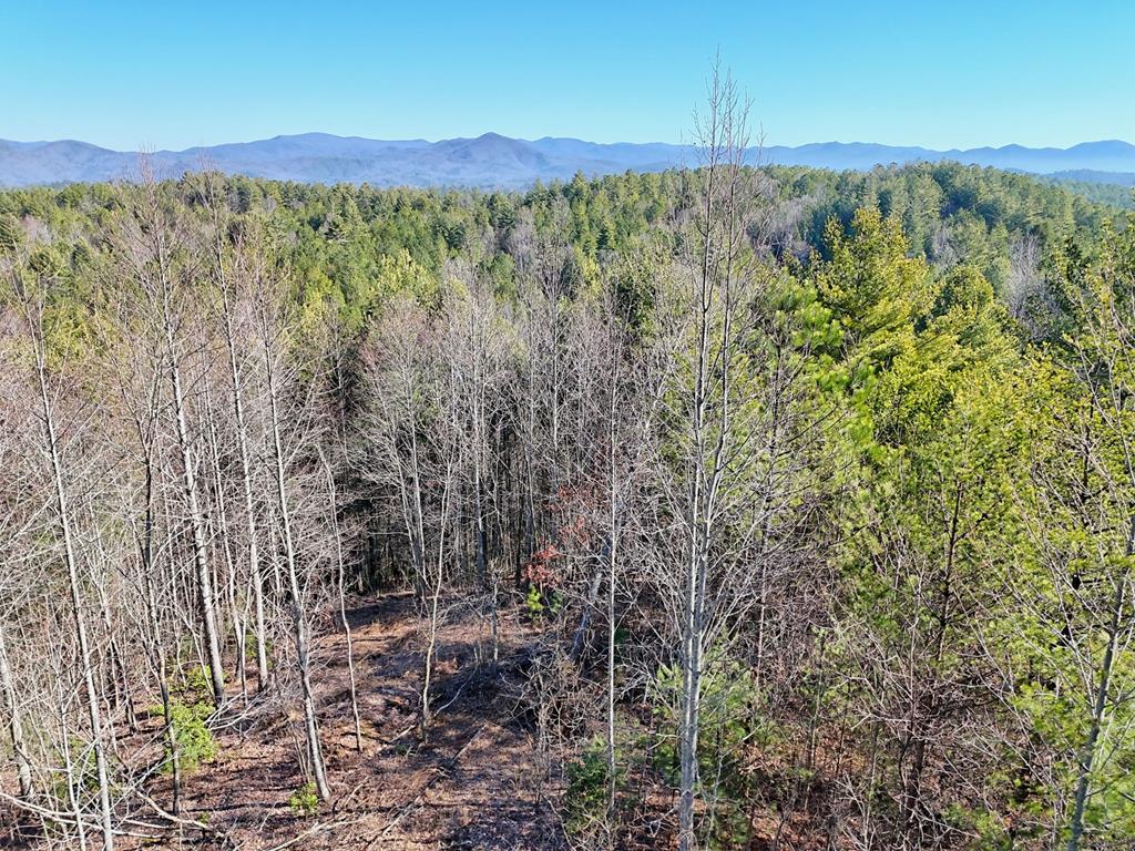125 Milk & Honey Dr, MURPHY, North Carolina image 3