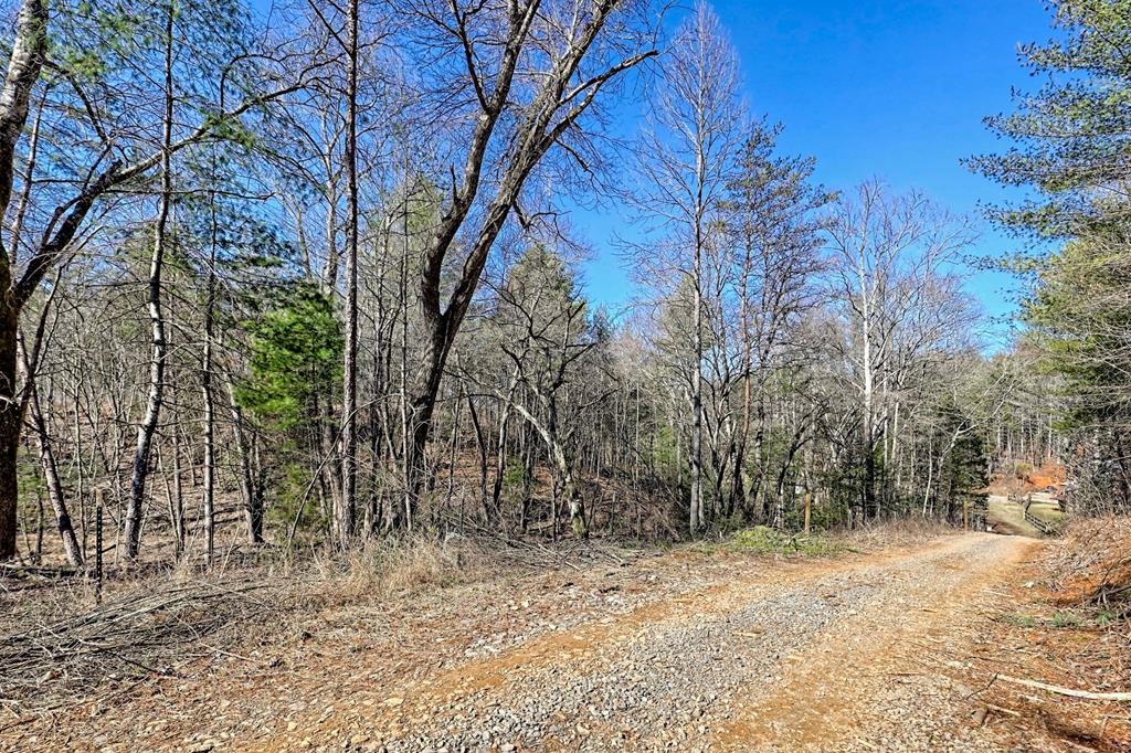 125 Milk & Honey Dr, MURPHY, North Carolina image 18