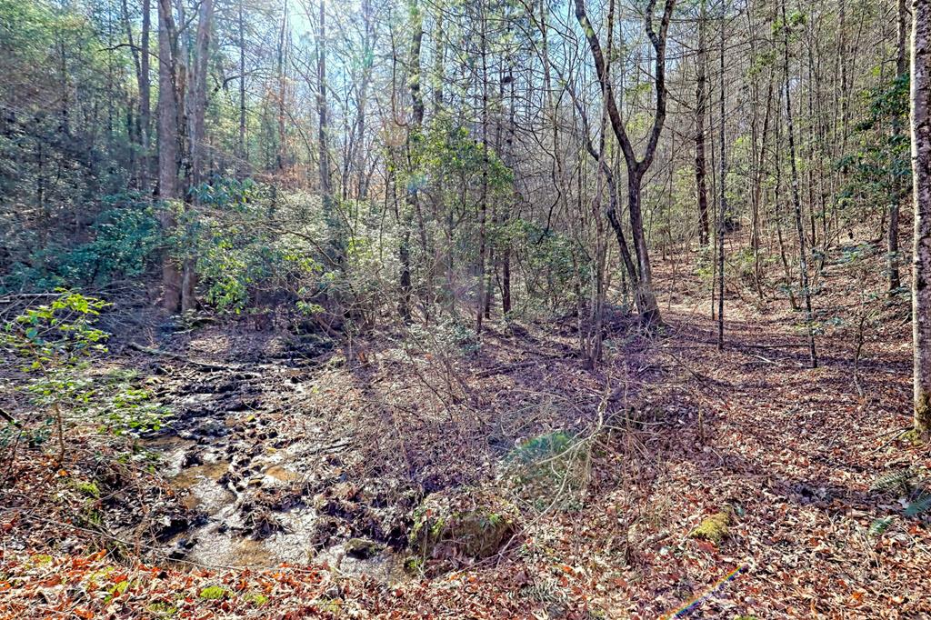 125 Milk & Honey Dr, MURPHY, North Carolina image 12