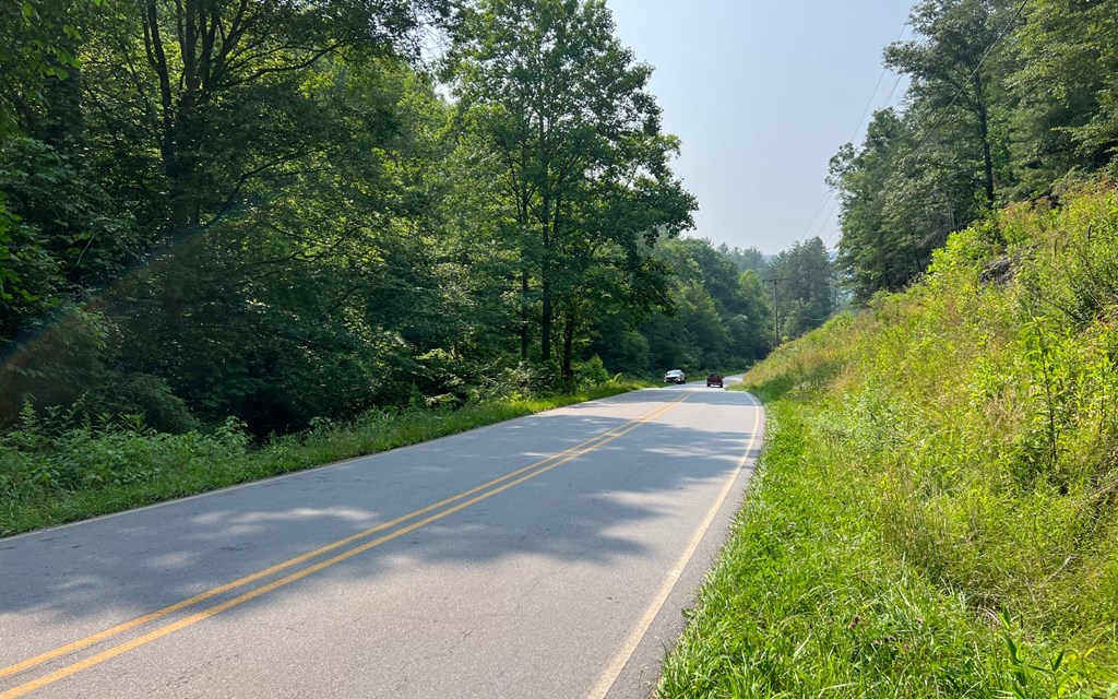 Lot 4 Fires Creek Road #4, HAYESVILLE, North Carolina image 21