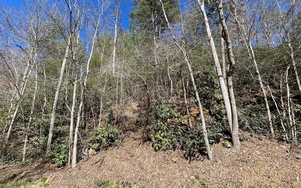 Lot 4 Fires Creek Road #4, HAYESVILLE, North Carolina image 27