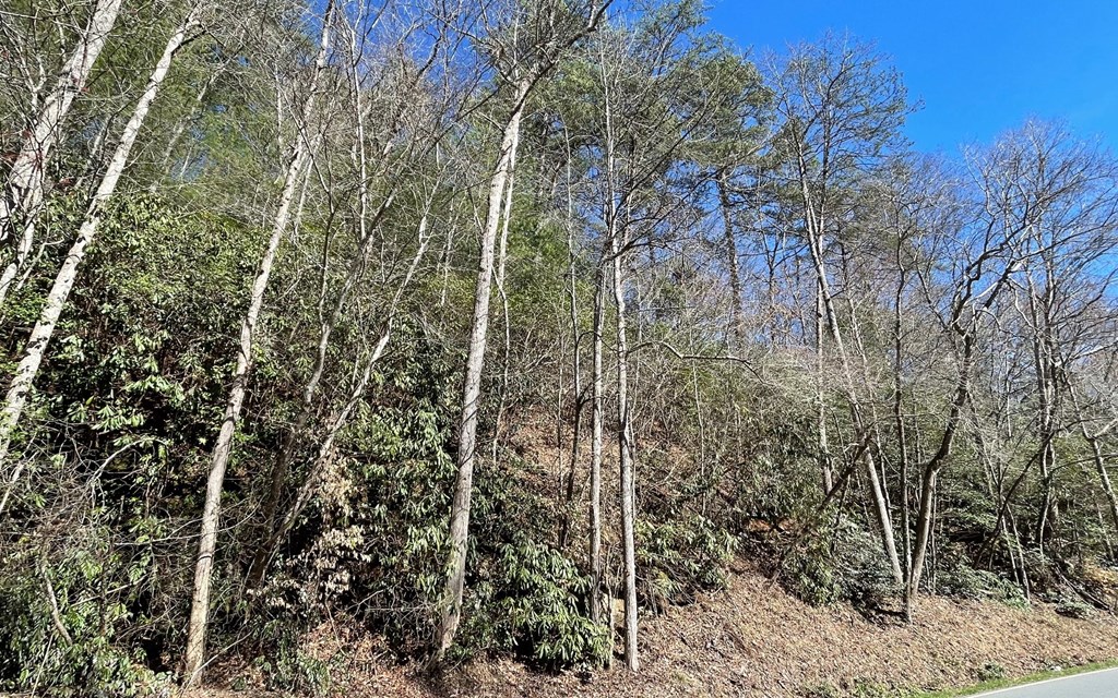 Lot 4 Fires Creek Road #4, HAYESVILLE, North Carolina image 26