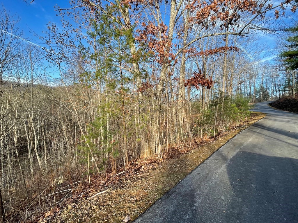 Lot 59C Mountain Harbour #59C, HAYESVILLE, North Carolina image 9