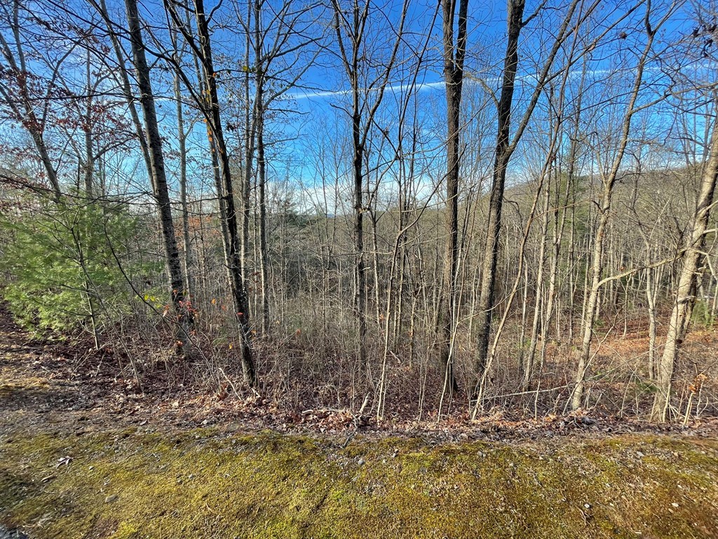 Lot 59C Mountain Harbour #59C, HAYESVILLE, North Carolina image 14