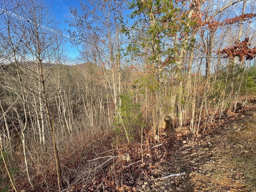 Lot 59C Mountain Harbour #59C, HAYESVILLE, North Carolina image 12