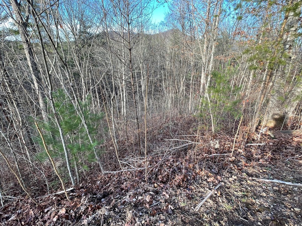 Lot 59C Mountain Harbour #59C, HAYESVILLE, North Carolina image 11