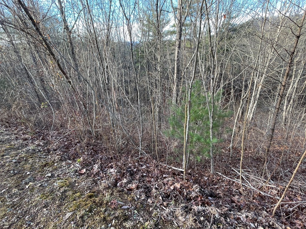 Lot 59C Mountain Harbour #59C, HAYESVILLE, North Carolina image 10