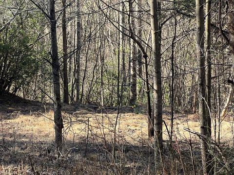 Vacant Land For Sale - LOT 59C Mountain Harbour #59C<br/> HAYESVILLE, NC 28904