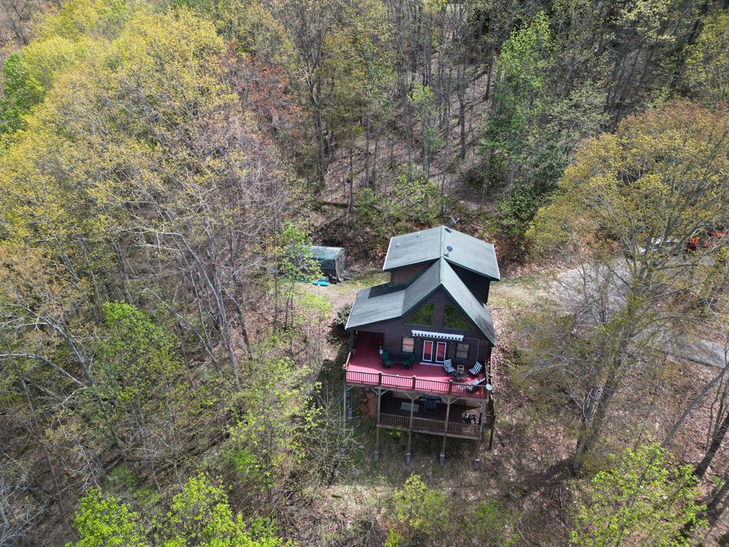 729 Canterbury Road, MURPHY, North Carolina image 3