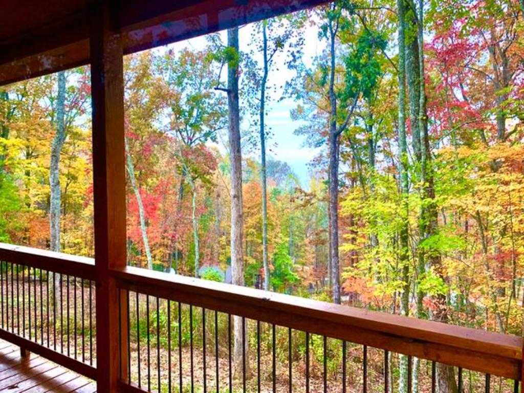 427 Legendary Ridge Rd, MURPHY, North Carolina image 8