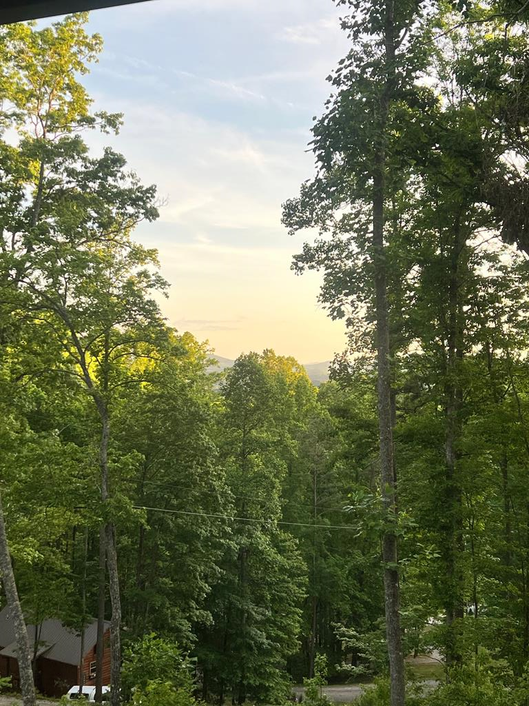 427 Legendary Ridge Rd, MURPHY, North Carolina image 17