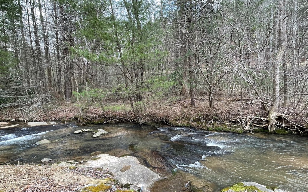 9.36 AC Hwy 515, BLAIRSVILLE, Georgia image 3