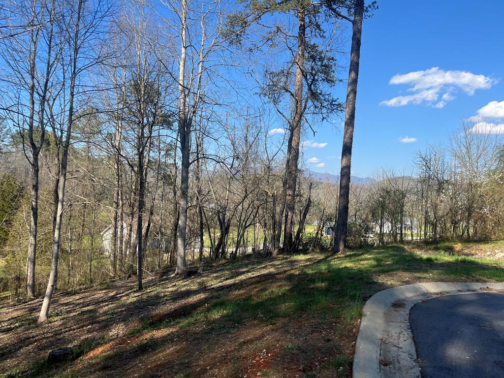 Lot 11 Bent Grass Circle #11, HAYESVILLE, North Carolina image 1