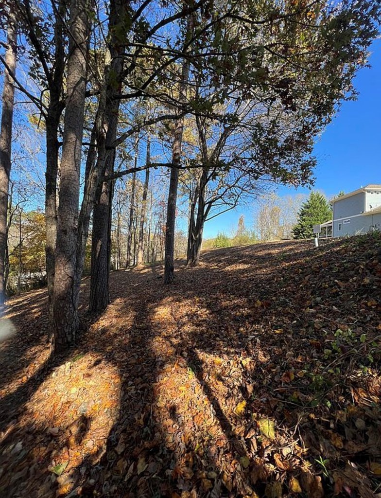 Lot 11 Bent Grass Circle #11, HAYESVILLE, North Carolina image 5