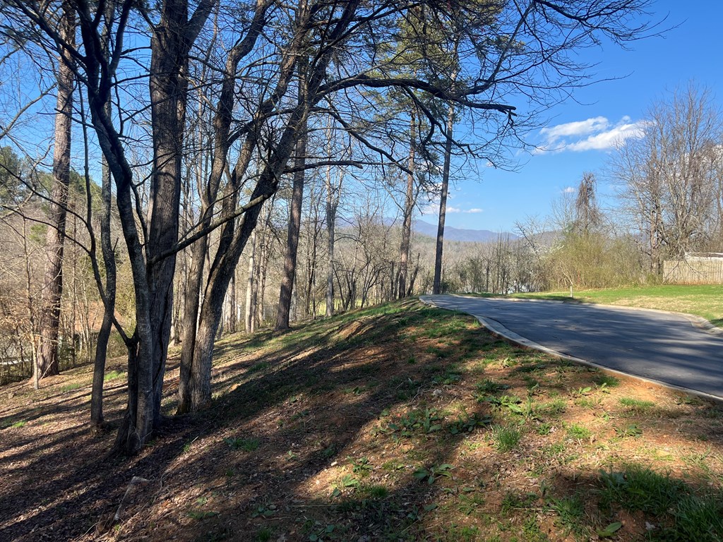 Lot 11 Bent Grass Circle #11, HAYESVILLE, North Carolina image 15