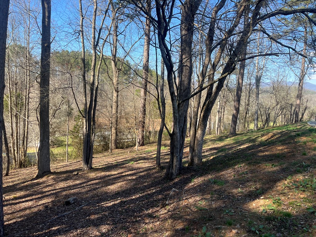 Lot 11 Bent Grass Circle #11, HAYESVILLE, North Carolina image 16