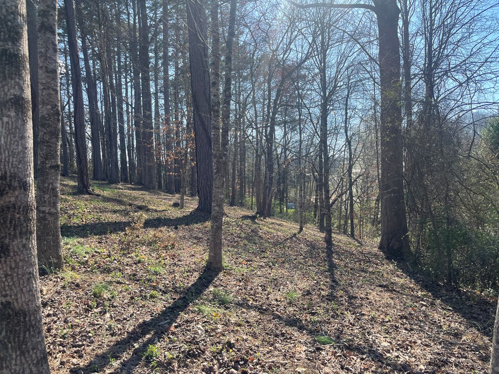 Lot 11 Bent Grass Circle #11, HAYESVILLE, North Carolina image 10