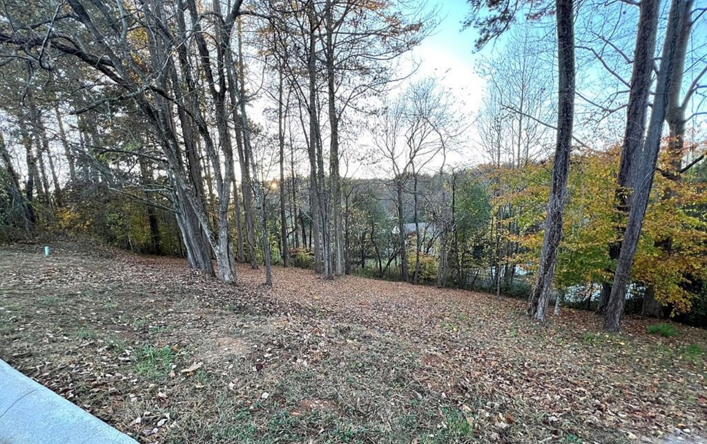 Lot 11 Bent Grass Circle #11, HAYESVILLE, North Carolina image 3