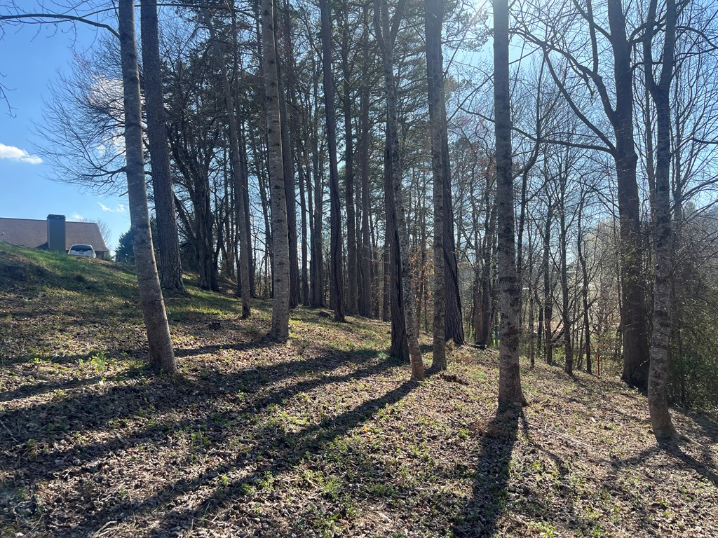 Lot 11 Bent Grass Circle #11, HAYESVILLE, North Carolina image 9